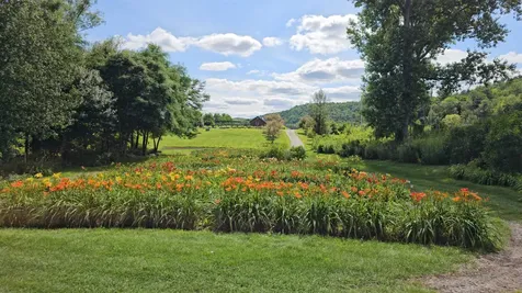 2263 Us Route 2 Marshfield VT 05658-7149