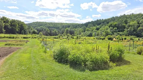 2263 Us Route 2 Marshfield VT 05658-7149