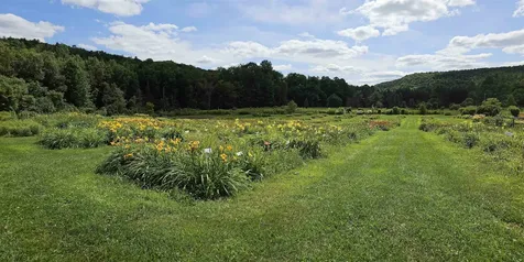 2263 Us Route 2 Marshfield VT 05658-7149