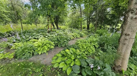 2263 Us Route 2 Marshfield VT 05658-7149