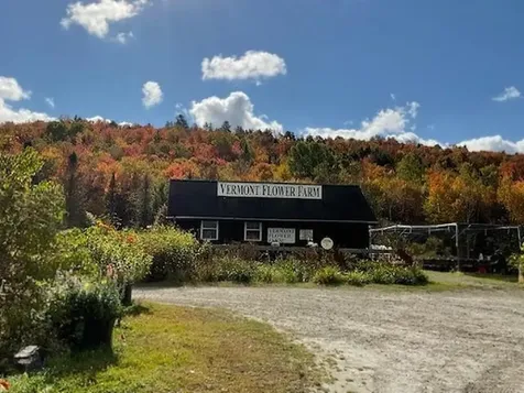 2263 Us Route 2 Marshfield VT 05658-7149