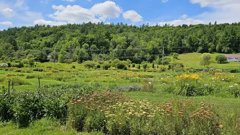 2263 Us Route 2 Marshfield VT 05658-7149