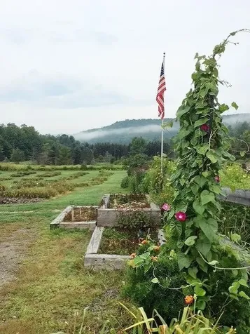 2263 Us Route 2 Marshfield VT 05658-7149