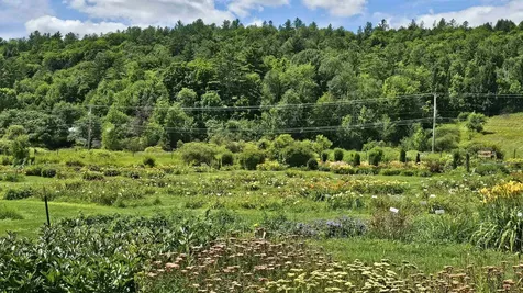 2263 Us Route 2 Marshfield VT 05658-7149