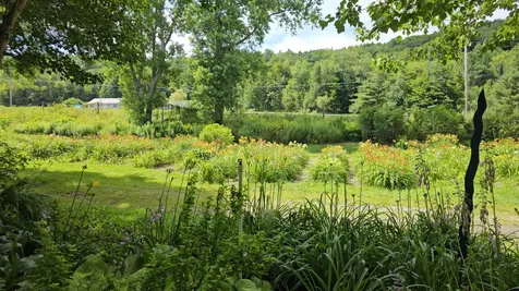 2263 Us Route 2 Marshfield VT 05658-7149