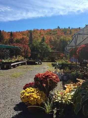 2263 Us Route 2 Marshfield VT 05658-7149