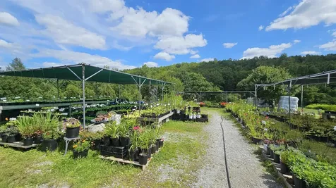 2263 Us Route 2 Marshfield VT 05658-7149