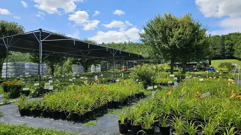 2263 Us Route 2 Marshfield VT 05658-7149