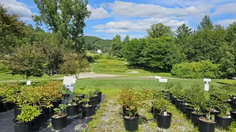 2263 Us Route 2 Marshfield VT 05658-7149