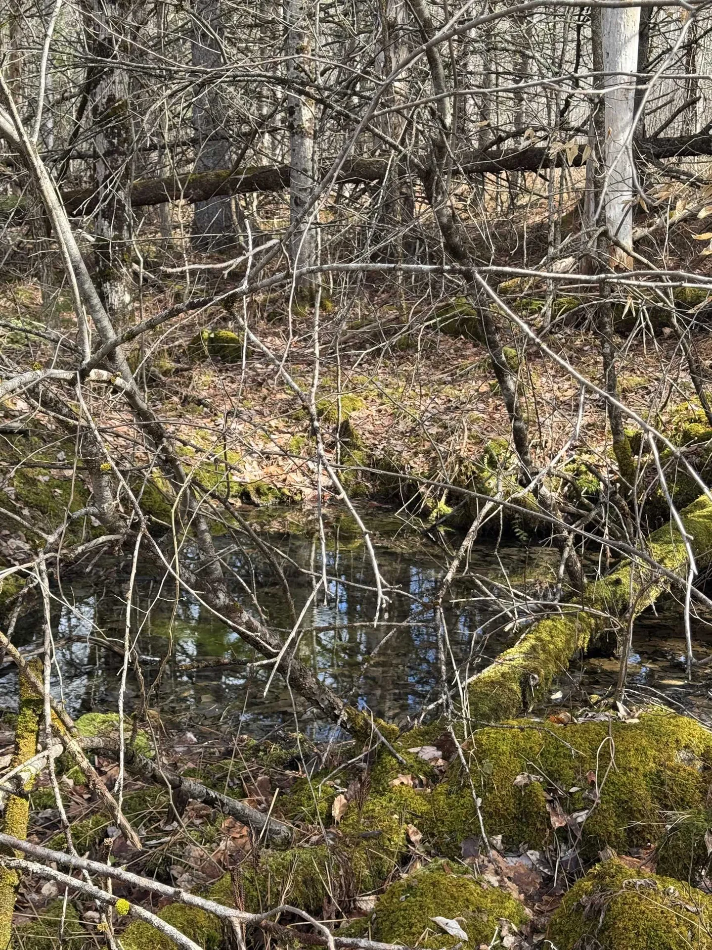 Garland Road Lancaster NH 03584