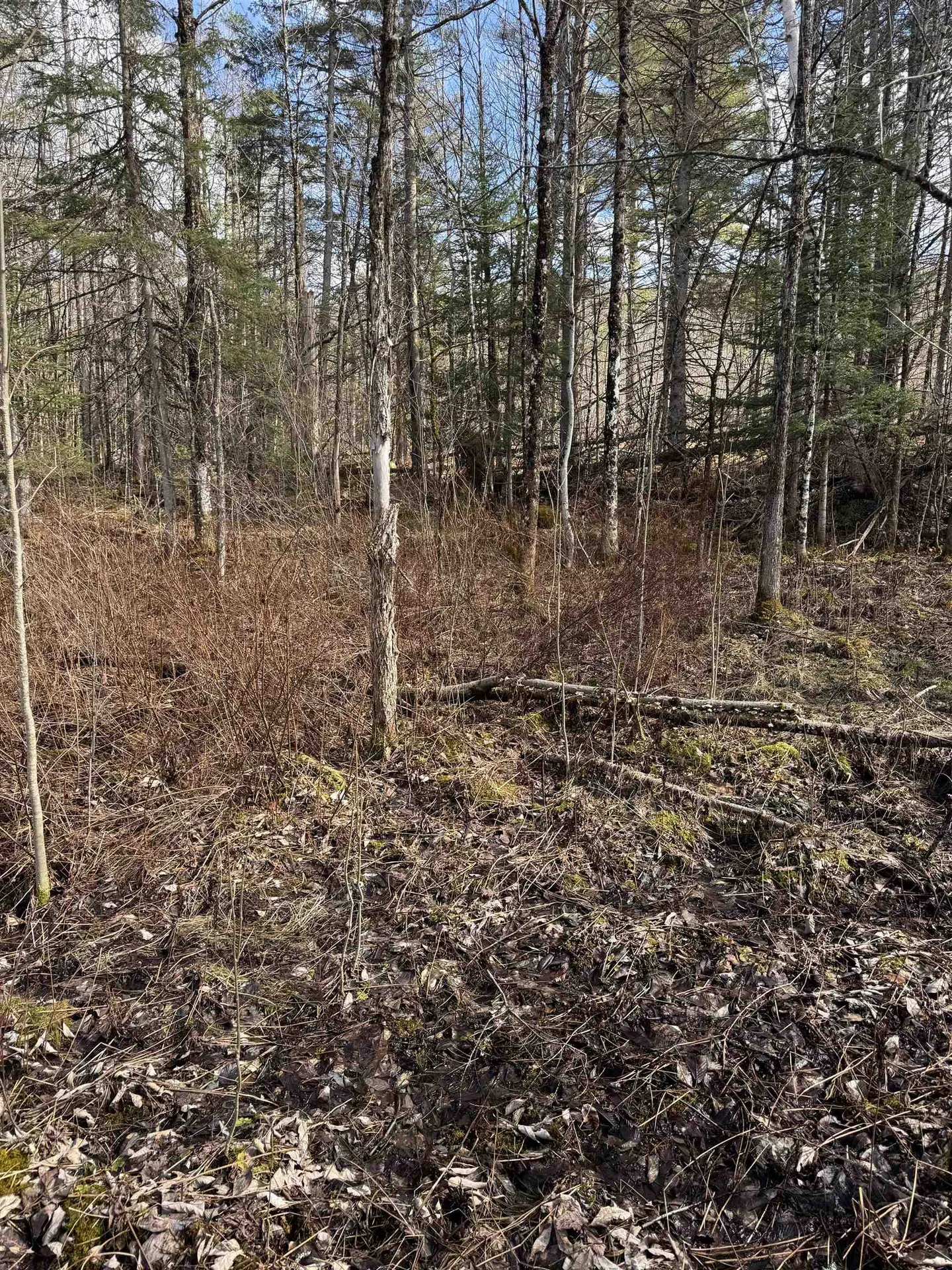 Garland Road Lancaster NH 03584