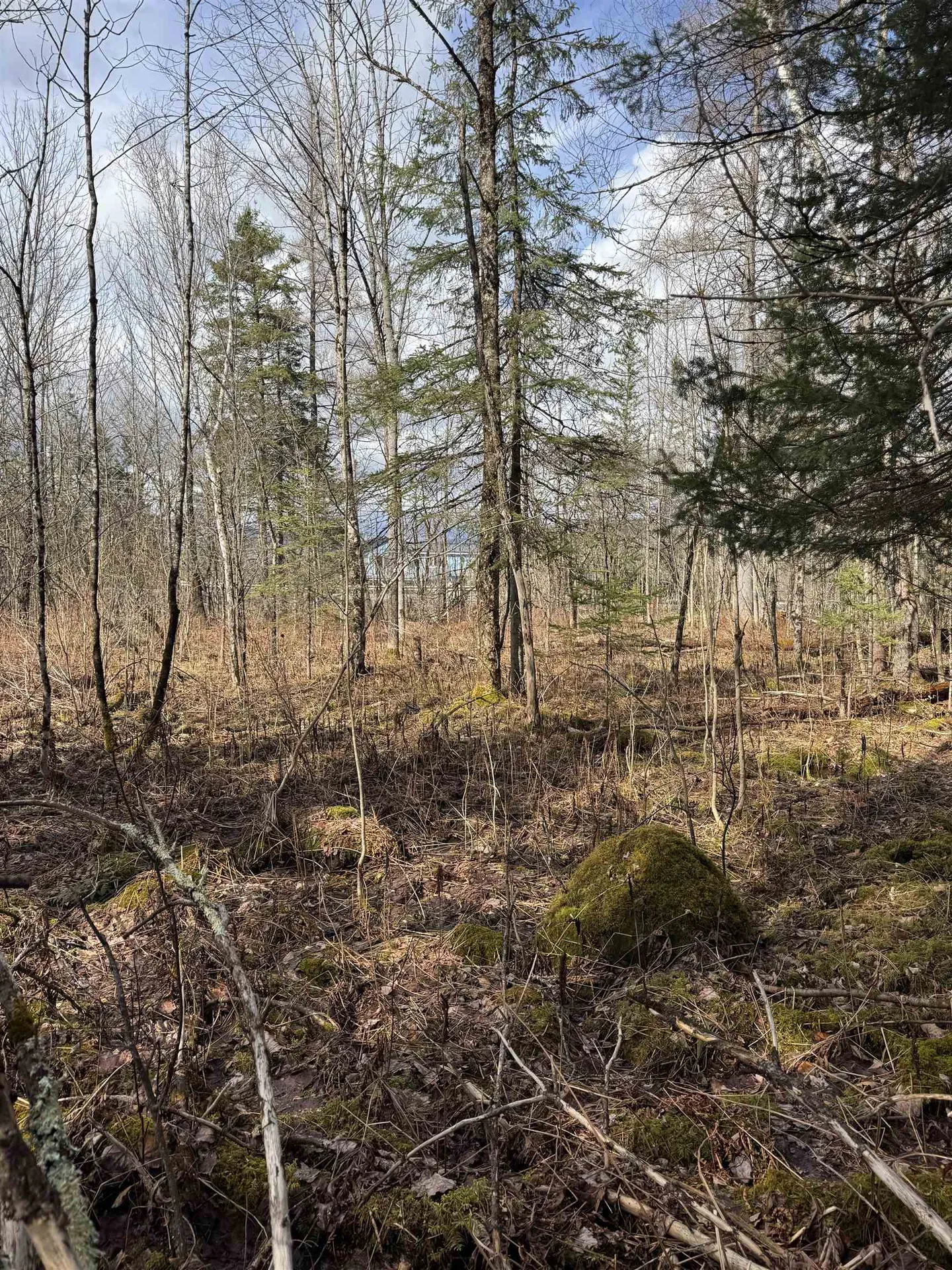 Garland Road Lancaster NH 03584