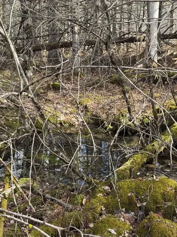 Garland Road Lancaster NH 03584