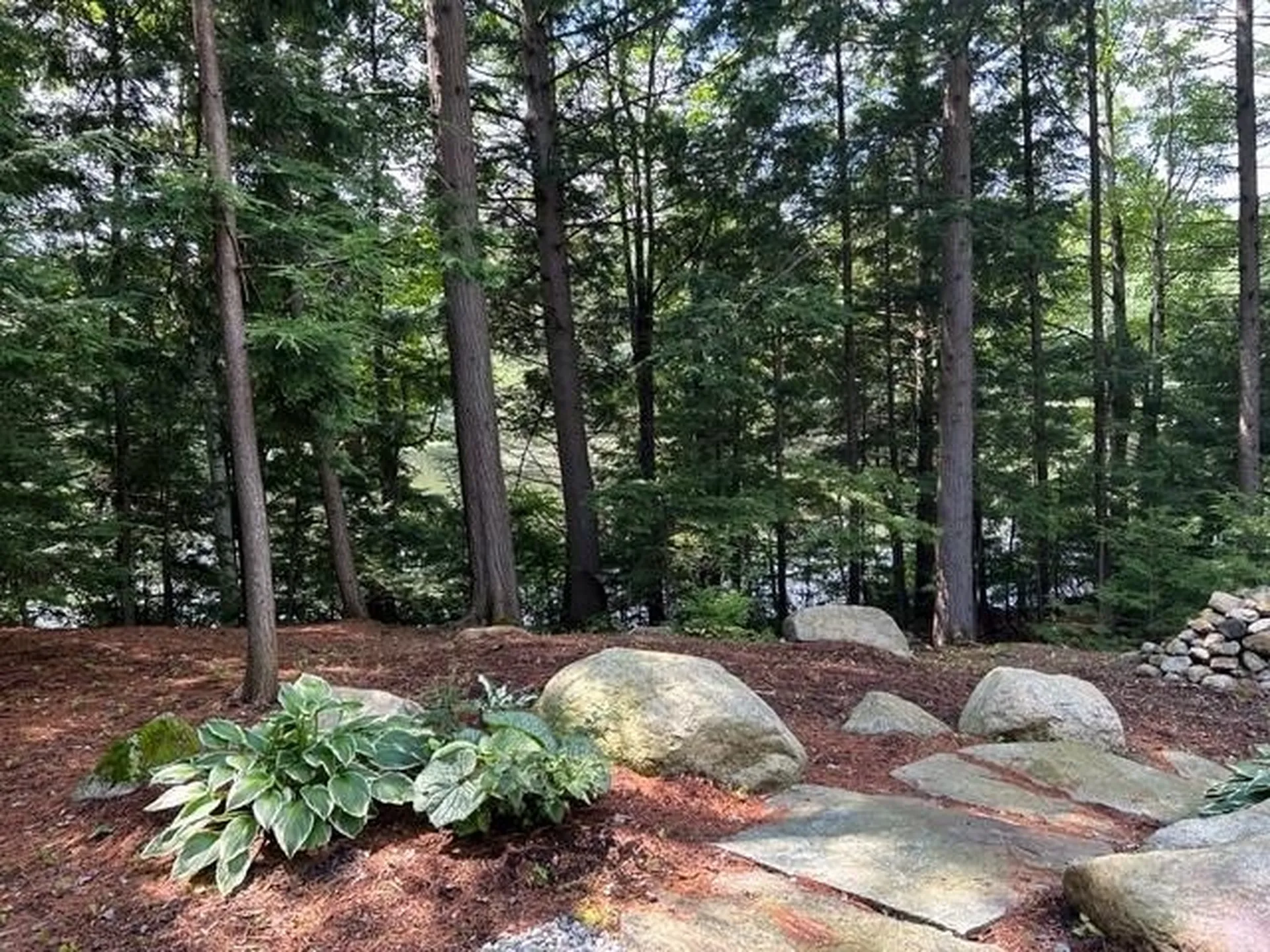 51 Anderson Pond Road Grantham NH 03753