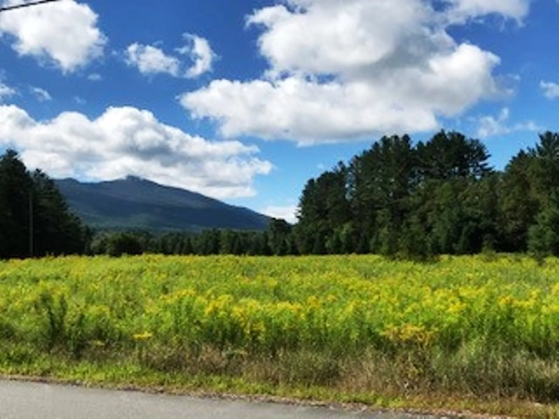 25 Lafayette Road Franconia NH 03580