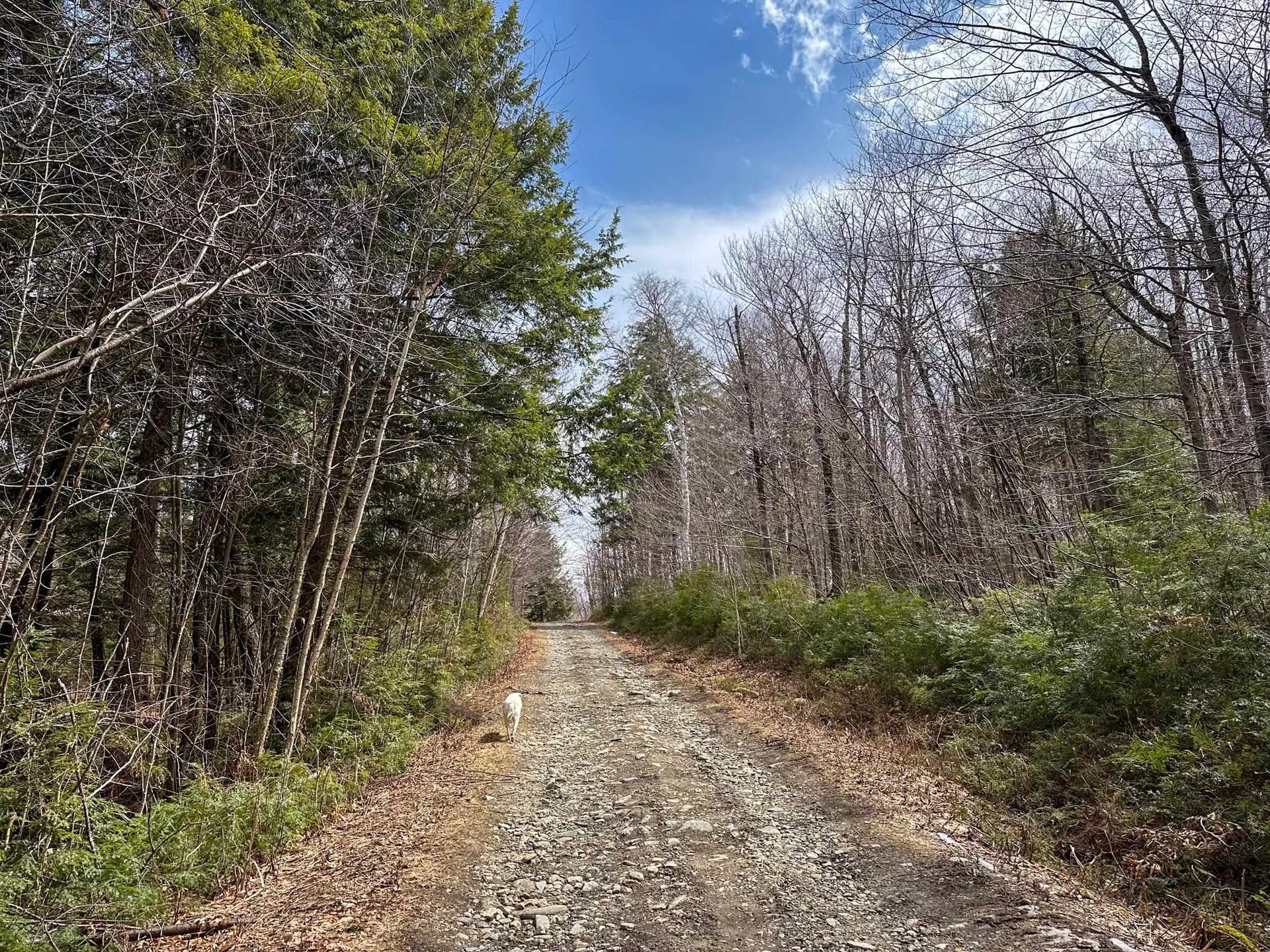 00 Boone Road Andover VT 05143