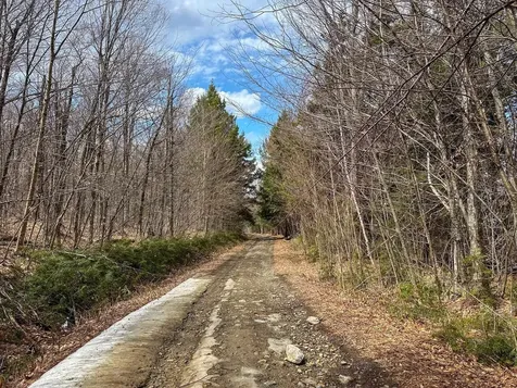 00 Boone Road Andover VT 05143
