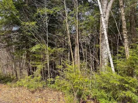 00 Boone Road Andover VT 05143