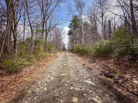 00 Boone Road Andover VT 05143