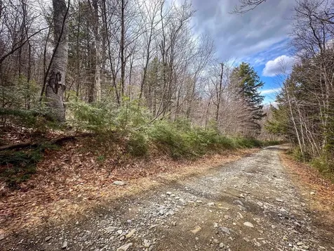 00 Boone Road Andover VT 05143