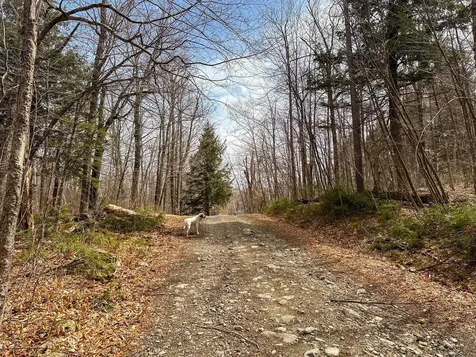 00 Boone Road Andover VT 05143