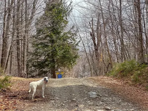 00 Boone Road Andover VT 05143