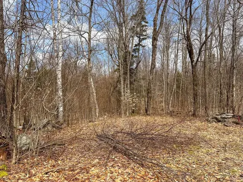 00 Boone Road Andover VT 05143