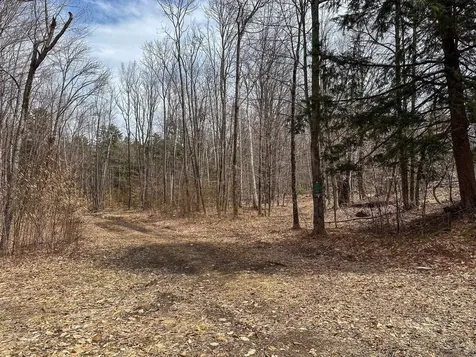 00 Boone Road Andover VT 05143