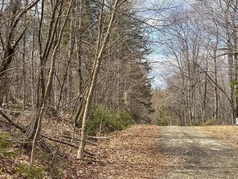 00 Boone Road Andover VT 05143