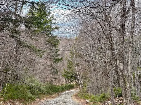 00 Boone Road Andover VT 05143