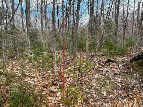 00 Boone Road Andover VT 05143