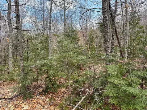 00 Boone Road Andover VT 05143