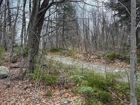 00 Boone Road Andover VT 05143