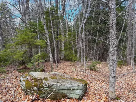 00 Boone Road Andover VT 05143