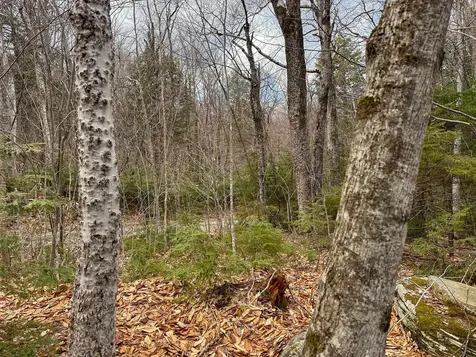 00 Boone Road Andover VT 05143