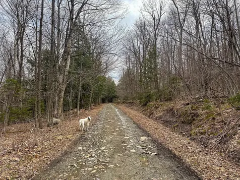 00 Boone Road Andover VT 05143