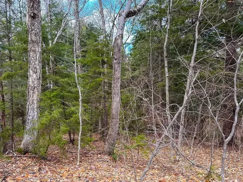 00 Boone Road Andover VT 05143