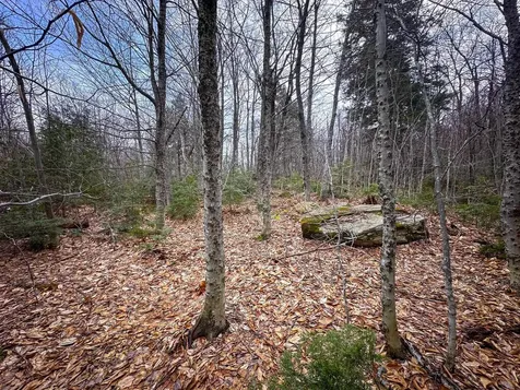 00 Boone Road Andover VT 05143