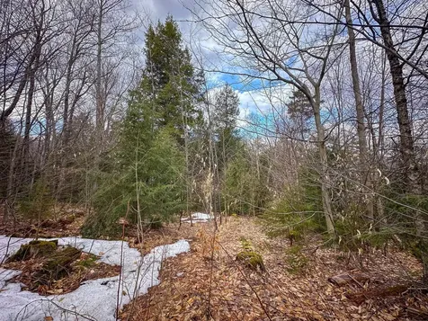 00 Boone Road Andover VT 05143