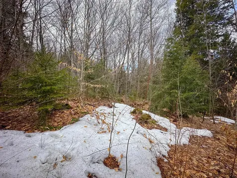 00 Boone Road Andover VT 05143