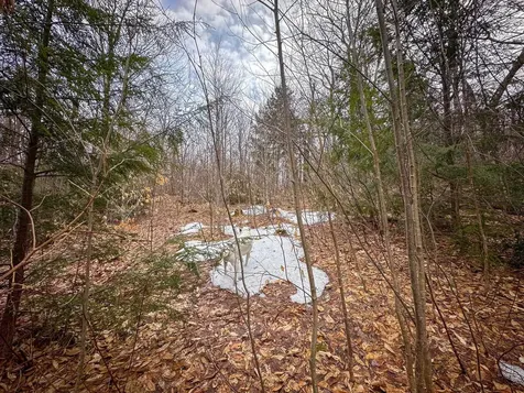 00 Boone Road Andover VT 05143