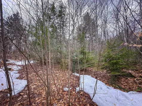 00 Boone Road Andover VT 05143