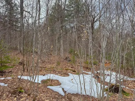 00 Boone Road Andover VT 05143