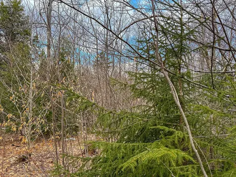 00 Boone Road Andover VT 05143