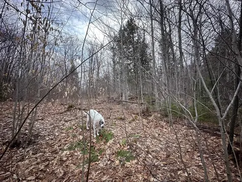 00 Boone Road Andover VT 05143