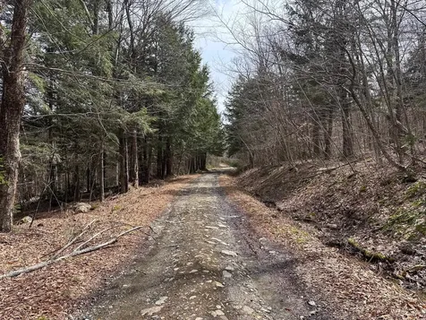 00 Boone Road Andover VT 05143