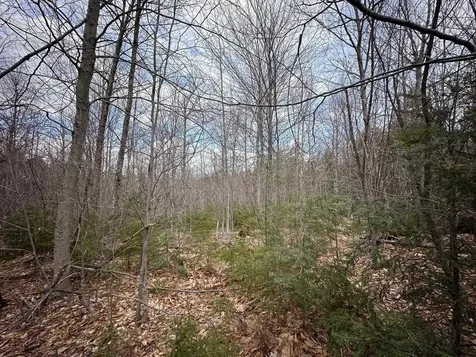 00 Boone Road Andover VT 05143