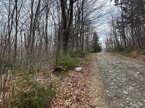 00 Boone Road Andover VT 05143
