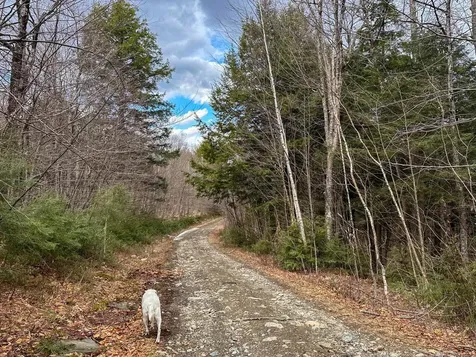 00 Boone Road Andover VT 05143
