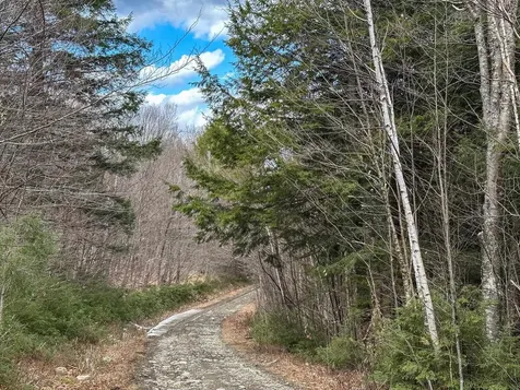 00 Boone Road Andover VT 05143